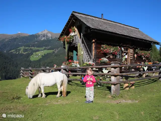villa en Austria, Carintia, Kötschach-Mauthen – Villa Montañara Steineckenalm, una de las muchas bonitas cabañas de la zona.