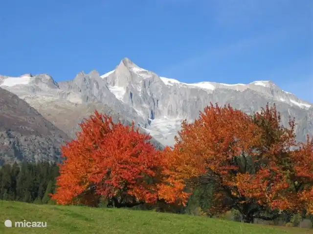 Chalet Mistelhof Apartamento planta alta 4 pers en Suiza, Valais, Fiesch - chalet En todas las estaciones es hermoso alrededor de Fiesch y en los Goms