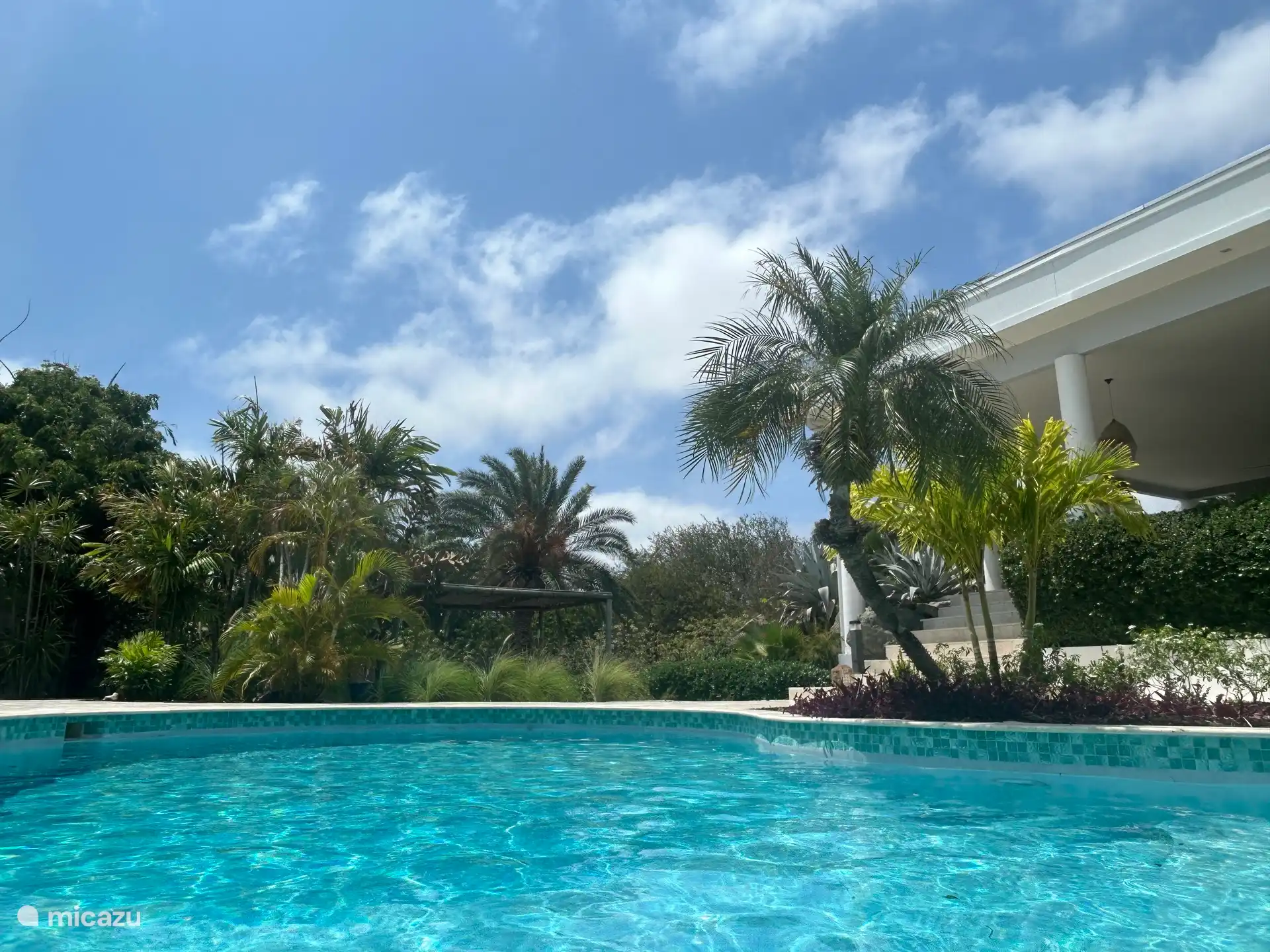 zeer privé zwembad in tropische tuin