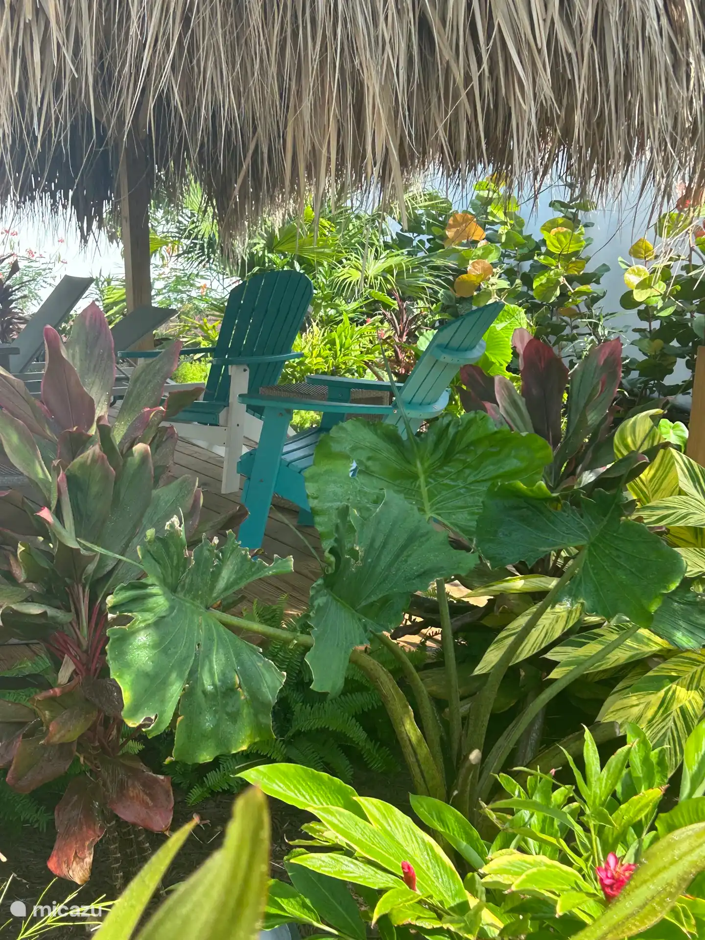 Lekker chillen tussen de tropische planten