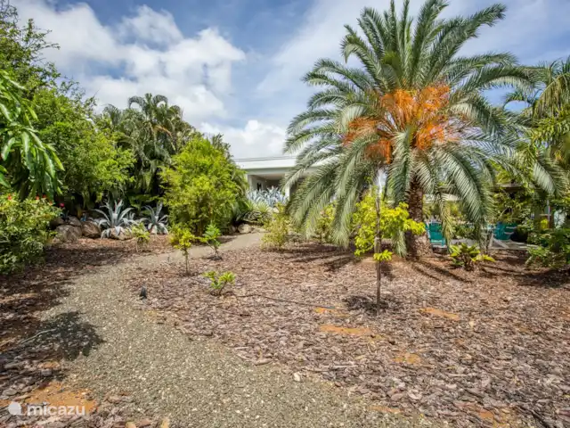 Belle villa tropicale à Jan Thiel | Curaçao, Banda Ariba (est), Jan Thiel - villa Jardin avec allée