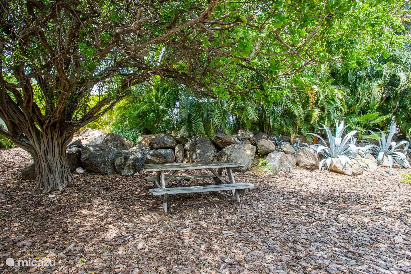 Picnic in the tropical garden