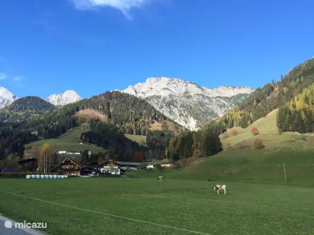Chalet Olduvaï | Autriche, Salzburgerland, Leogang-Saalfelden - chalet Vue d’Olduvai