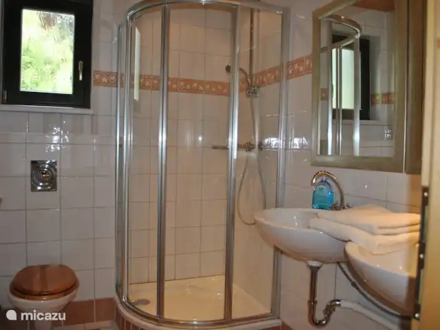 Chalet Olduvaï | Autriche, Salzburgerland, Leogang-Saalfelden - chalet Au rez-de-chaussée, nous avons cette salle de bain. Douche, WC, 2 lavabos.