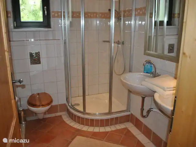 Chalet Olduvaï | Autriche, Salzburgerland, Leogang-Saalfelden - chalet La salle de bain au rez-de-chaussée.
Douche/WC, 2 lavabos