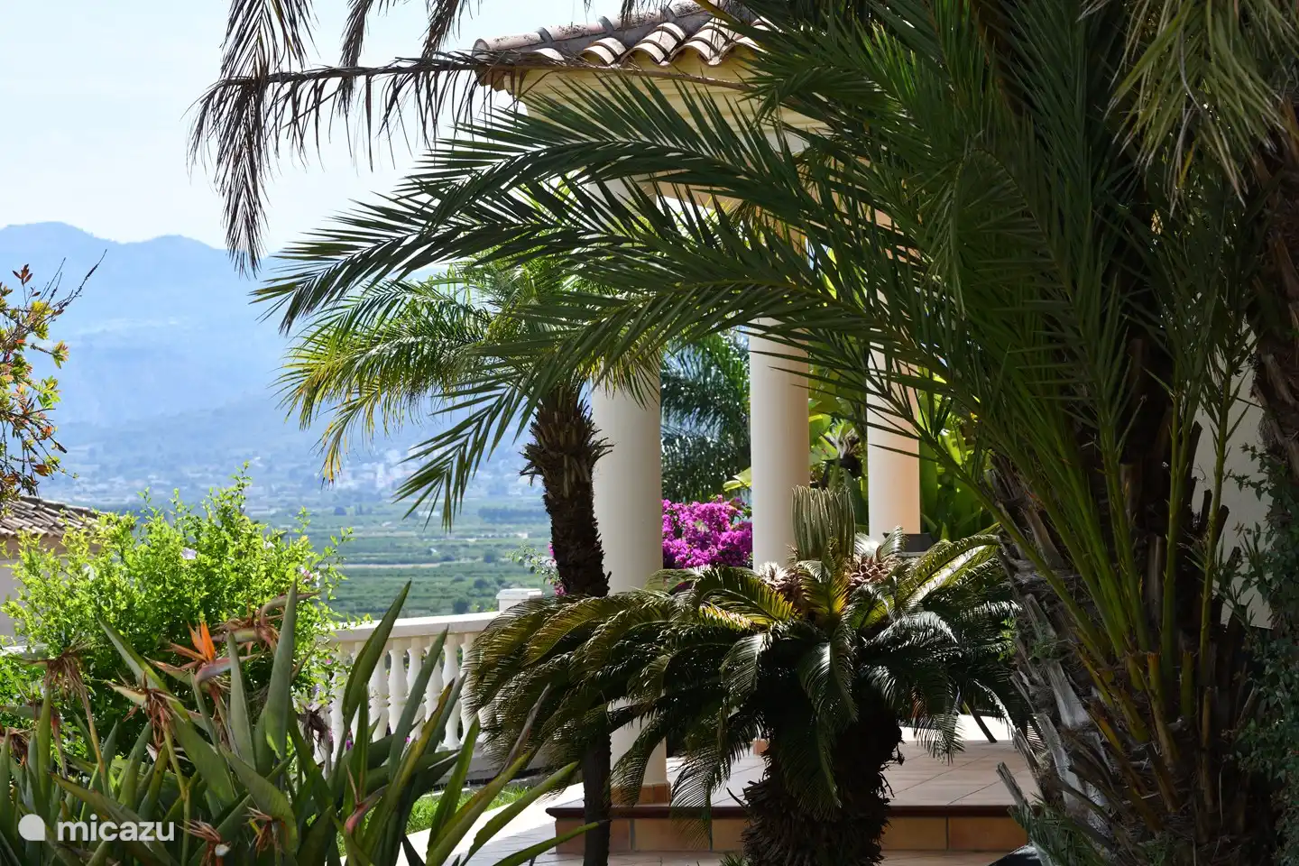 De palmbomen zijn ook onmisbaar op warme dagen: heerlijk met een ligbed onder de palmen genietend van het uitzicht
