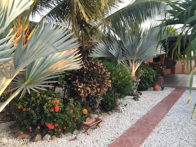 Villa J van Domburg huren in Aruba, Paradera, Rooi Afo - villa Tuin in volle bloei