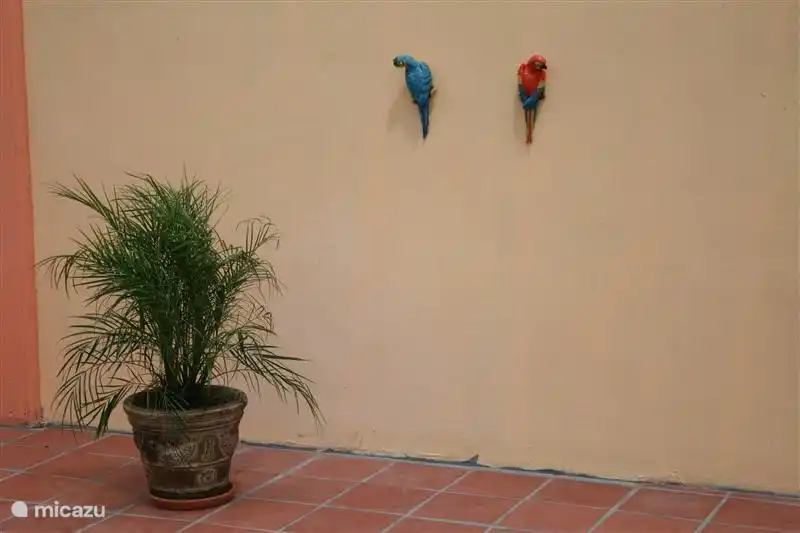 Schöne Palme mit bunten Dekorationen