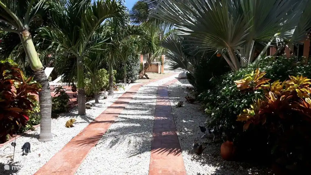 Kleurrijk en volle tuin