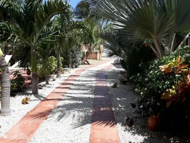 Villa J van Domburg huren in Aruba, Paradera, Rooi Afo - villa Kleurrijk en volle tuin