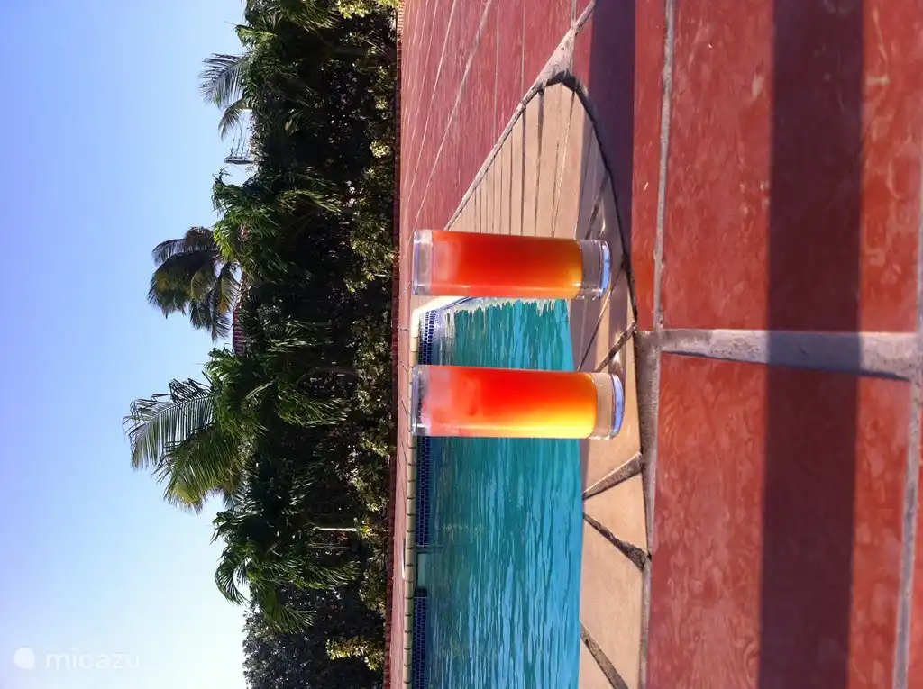 Kan je in alle rust genieten van een coctail