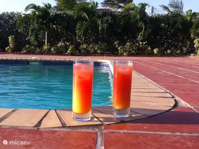 Villa J van Domburg huren in Aruba, Paradera, Rooi Afo - villa Kan je in alle rust genieten van een coctail