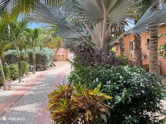 Villa J van Domburg huren in Aruba, Paradera, Rooi Afo - villa