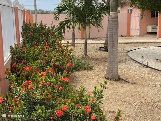 Villa J van Domburg huren in Aruba, Paradera, Rooi Afo - villa