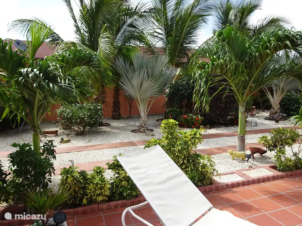 tuin tussen appartementen en huis met verschillende palmen en cocosbomen en oleanders en ander fleurige planten en bomen.