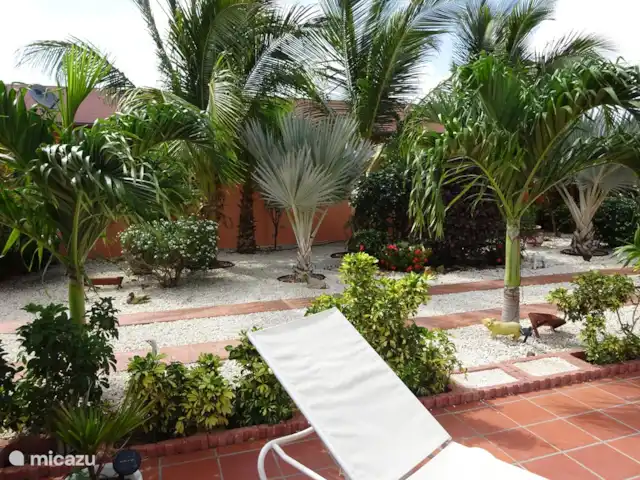 Villa J van Domburg huren in Aruba, Paradera, Rooi Afo - villa tuin tussen appartementen en huis met verschillende palmen en cocosbomen en oleanders en ander fleurige planten en bomen.