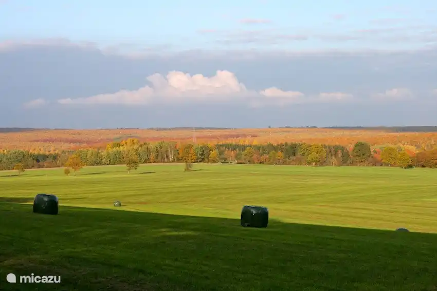 Herfst uitzicht tijdens wandeling in de buurt.