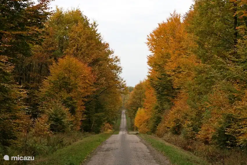 Herfst in Hennezel super mooie kleurenpracht!