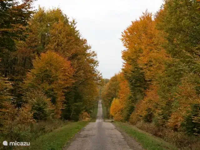 Ferme Pauchard | France, Vosges, Hennezel - maison de vacances Automne à Hennezel super belles couleurs !