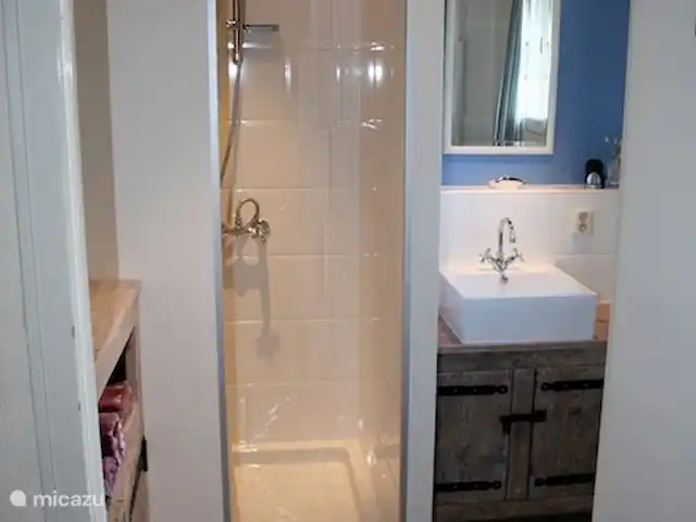 Ferme Pauchard | France, Vosges, Hennezel - maison de vacances 1ère salle de bain au rez-de-chaussée avec lavabo et douche. A côté un WC séparé.