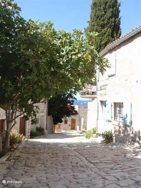 La Croatie est à seulement 2 à 3 heures de route de Kotschach.
Plutôt agréable d'y passer la nuit et de passer quelques jours au bord de la mer.