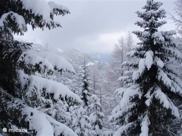 Chalet am Sonnenpiste en Austria, Carintia, Kötschach-Mauthen - chalet Imagen invernal del valle de Lesach, donde es maravilloso tanto en verano como en invierno.
Todavía encontrará la auténtica Austria aquí.