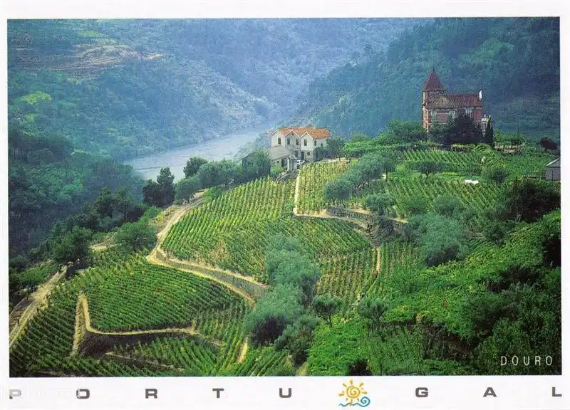 the Douro Valley, heritage protected by UNESCO (120 km)