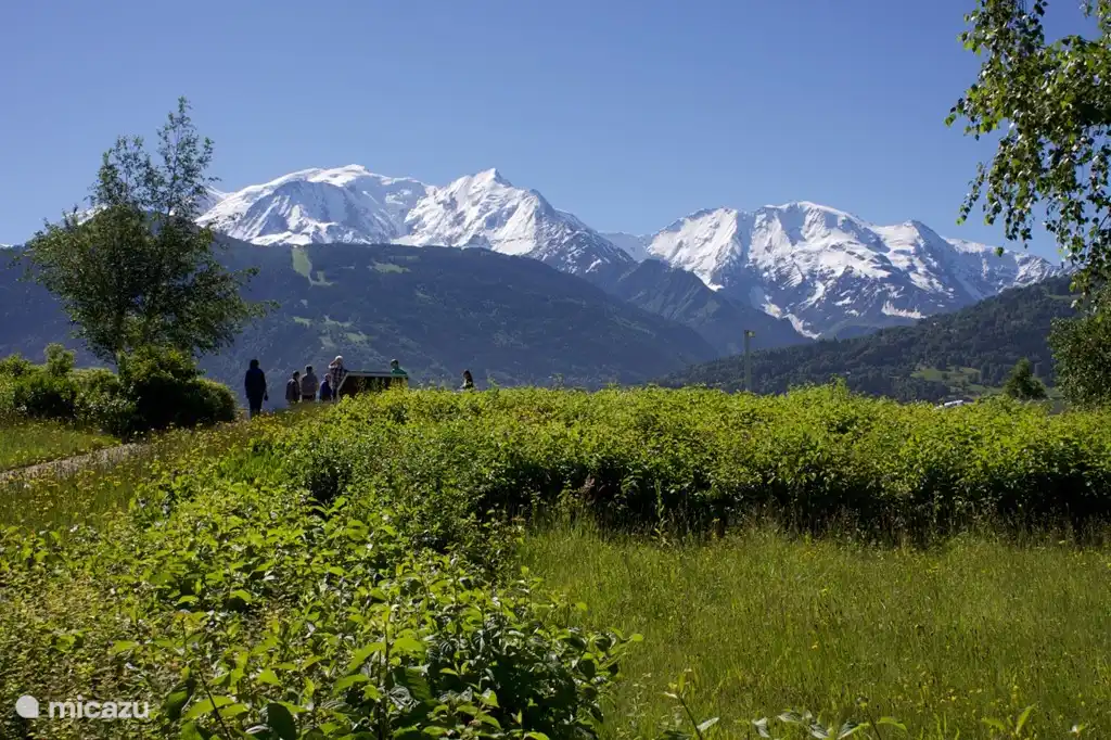 Herrliche Wanderungen im Sommer.
