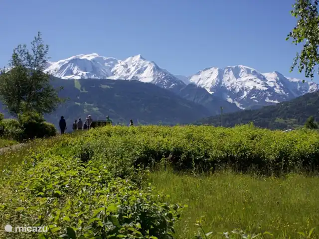 Location de Vacances France, Haute-Savoie, Évian-les-Bains, maison de vacances - temps de fourrure Superbes balades en été.