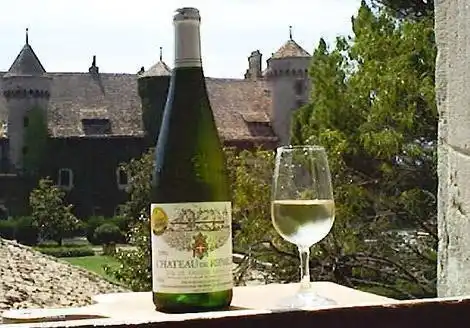 Weinprobe in einer der verschiedenen Domänen (Ripalle in Thonon-les-Bains).