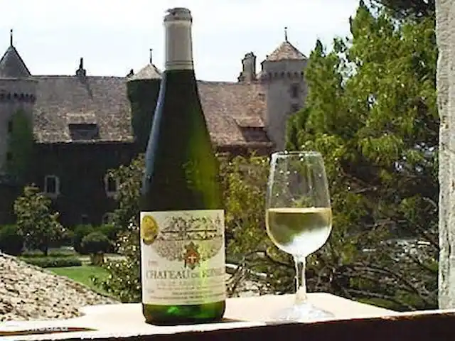 Location de Vacances France, Haute-Savoie, Évian-les-Bains, maison de vacances - temps de fourrure Dégustation de vin dans l'un des différents domaines (Ripalle à Thonon-les-bains).