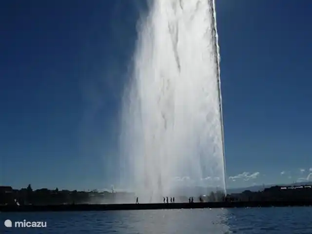 Location de Vacances France, Haute-Savoie, Évian-les-Bains, maison de vacances - temps de fourrure A 45 minutes de Genève et de l'aéroport.
Genève a une liaison ferroviaire directe avec Evian.