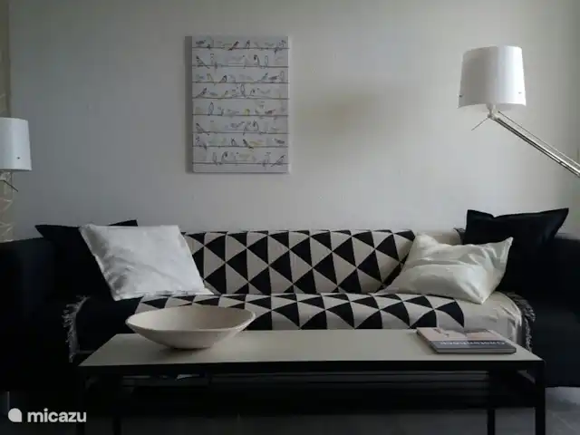 Location de Vacances France, Haute-Savoie, Évian-les-Bains, maison de vacances - temps de fourrure Regardez la télévision sur le canapé spacieux.