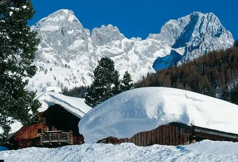 Environment in winter