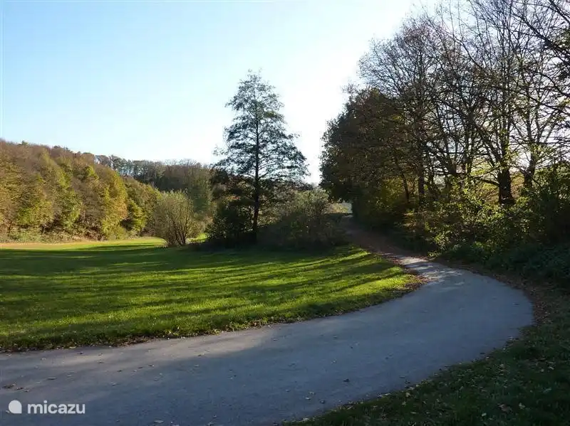 In der Nähe des Parks.
