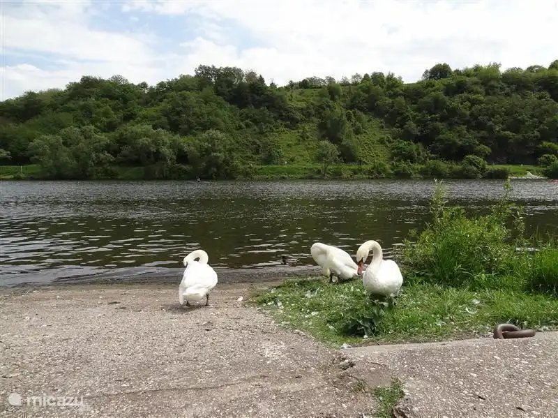 Una hermosa escena en el Mosela en Kröv