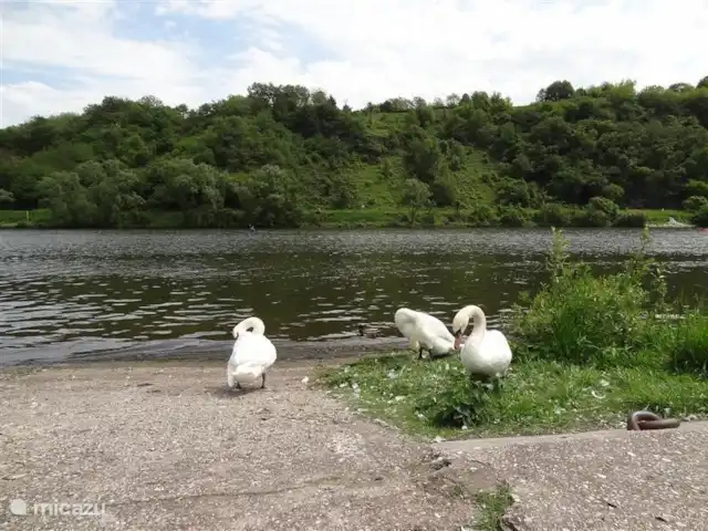 vakantiehuis huren in Duitsland, Moezel, Bengel – Bengel Een lieflijk tafereel aan de moezel in Kröv