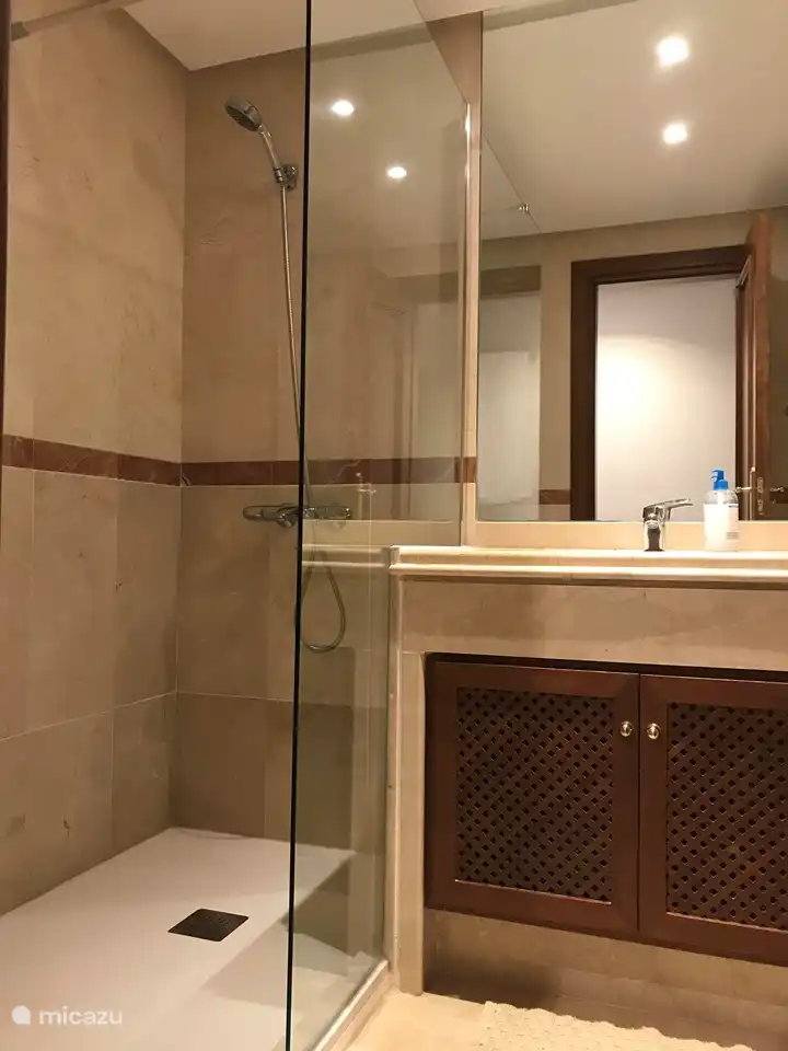 La seule salle de bain avec douche à l'italienne, lavabo, toilettes et bidet.