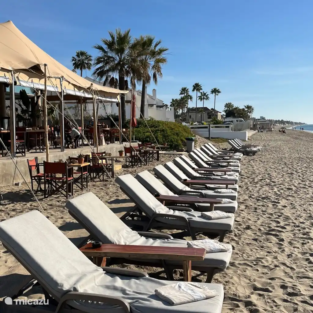 Alicate playa strand, foto 4