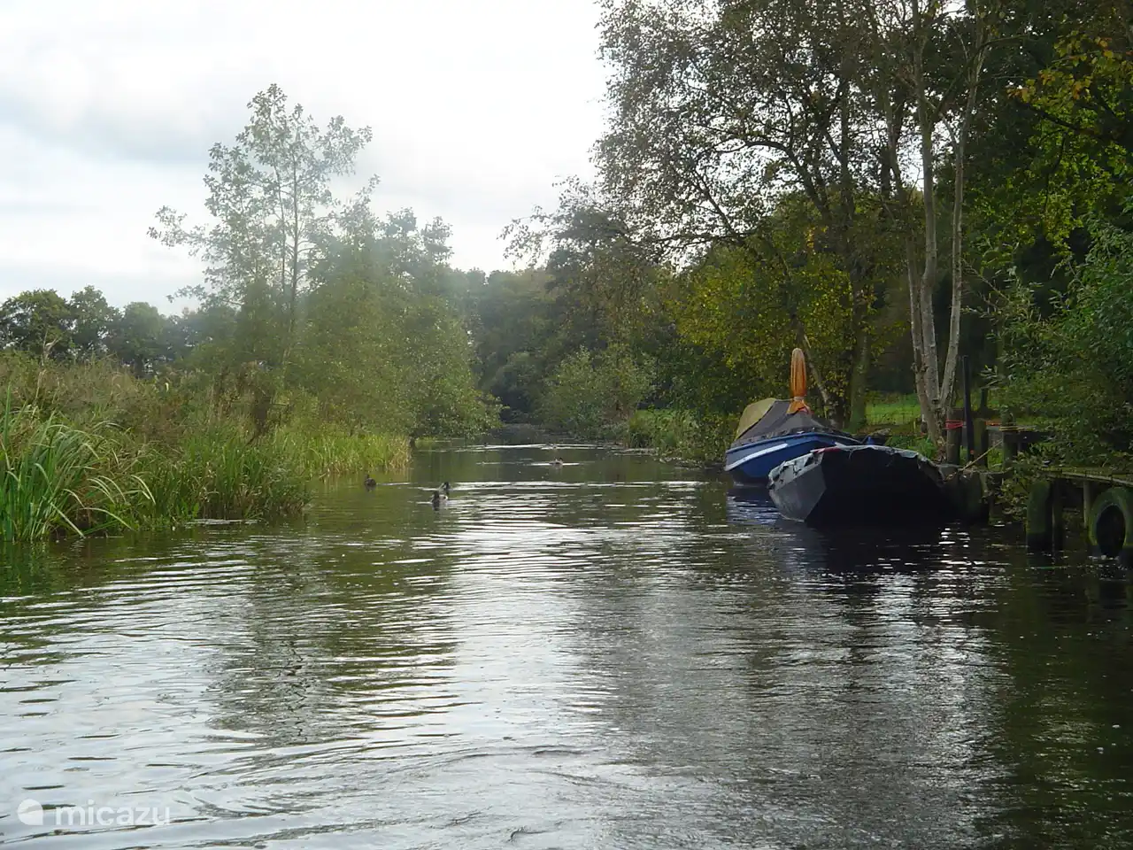 Friesland von bester Seite