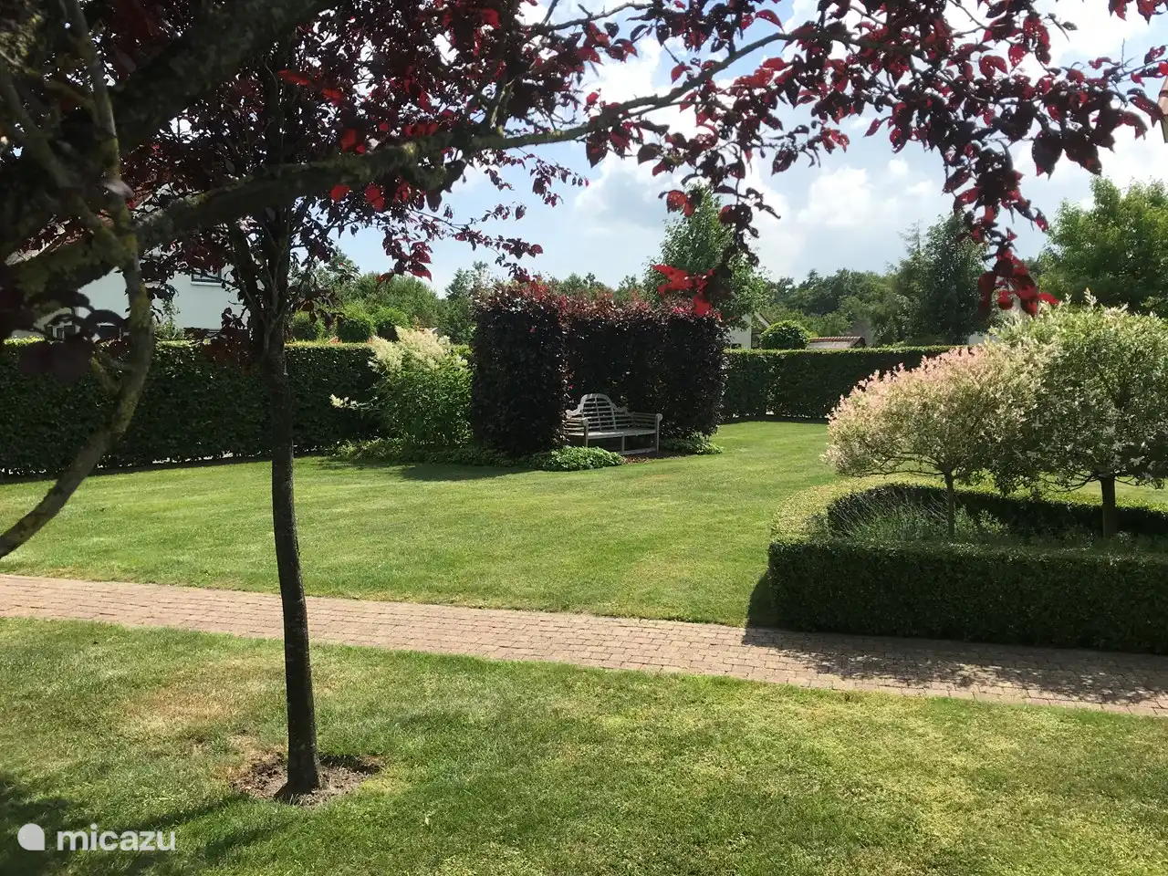 Blick in den Vorgarten