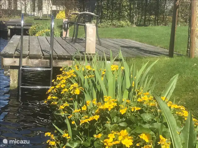 Oriole sur l'eau Frise | Pays-Bas, Frise, Langweer - maison de vacances Soucis dans le jardin