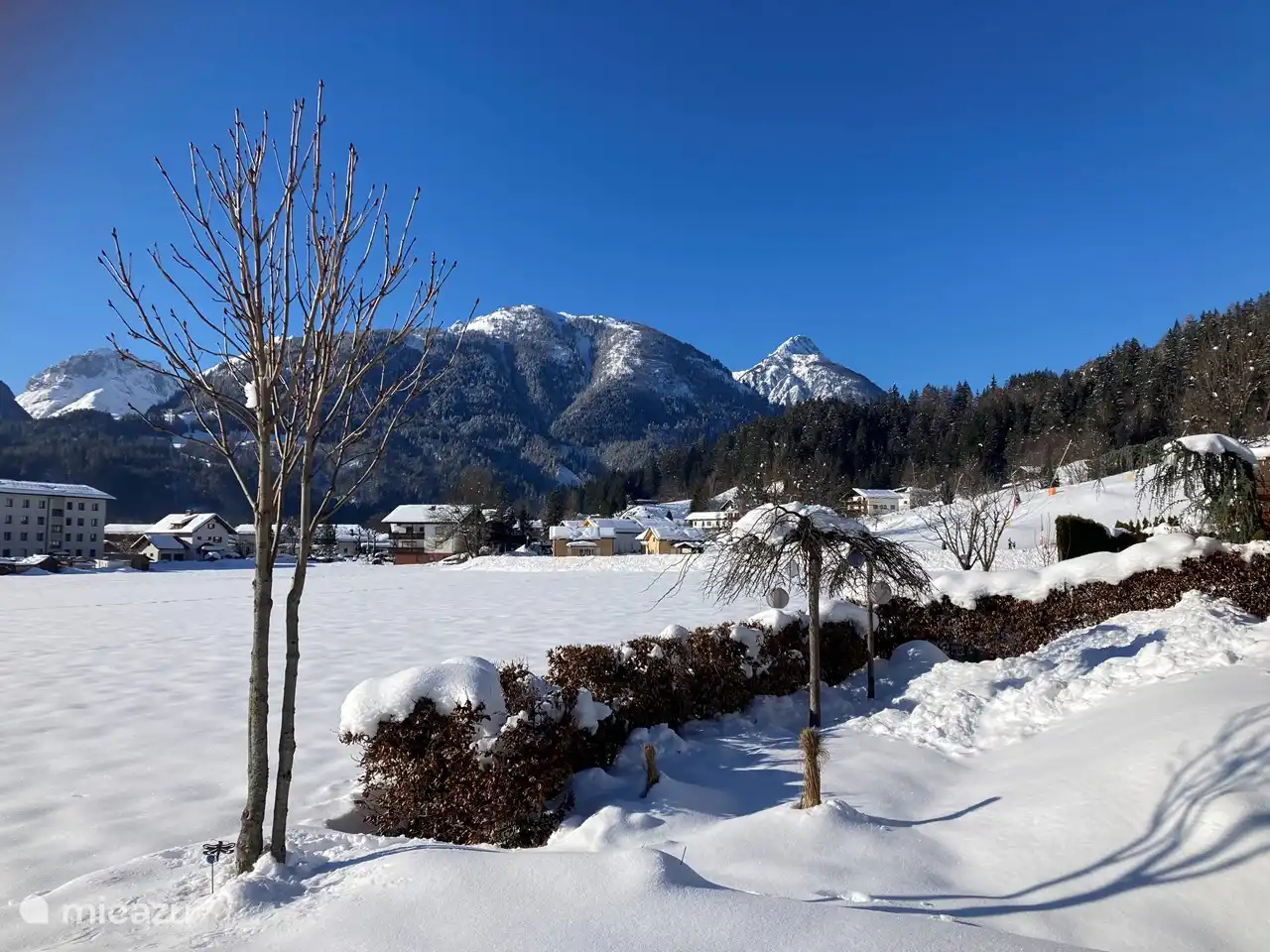 Winterblick vom Südgarten.