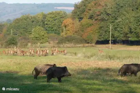 Bourgogne du Sud