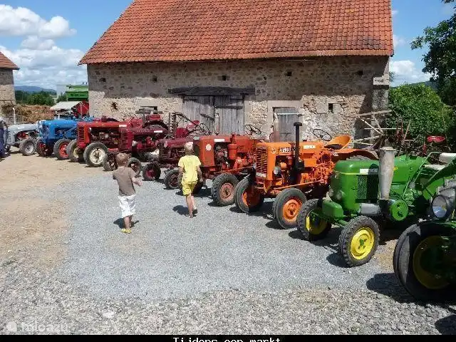 Location de Vacances France, Nièvre, Lanty, maison de vacances - Manoir BnBourgogne Dans un marché.