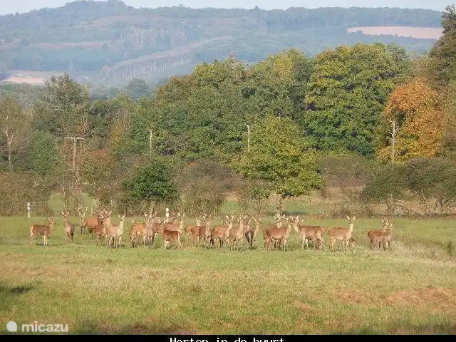 Location de Vacances France, Nièvre, Lanty, maison de vacances - Manoir BnBourgogne Cerf à proximité.