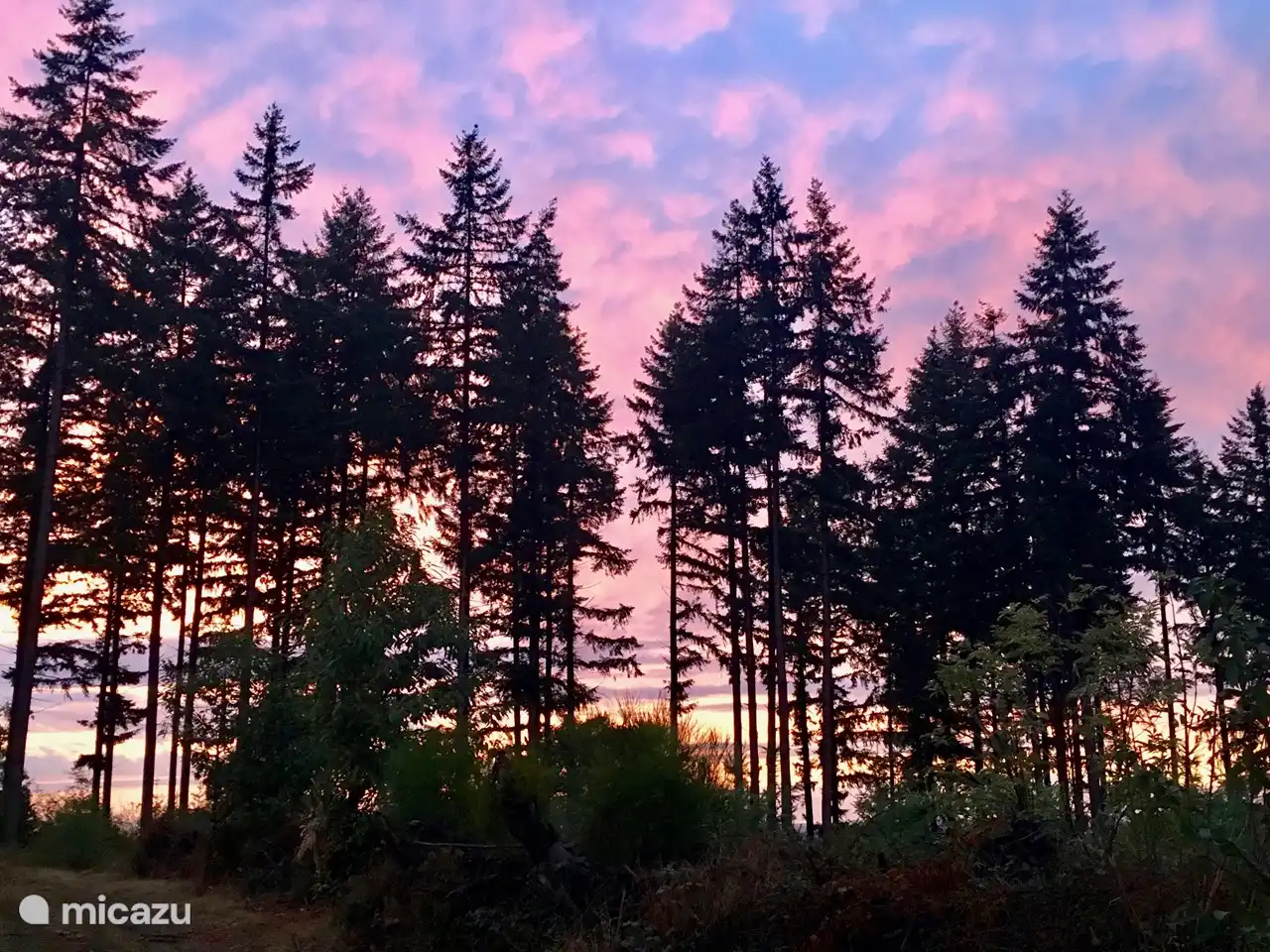 Bei einem schönen Spaziergang