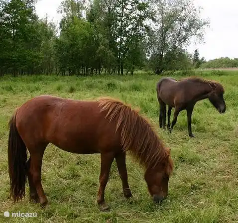 Natuursteen gelderland