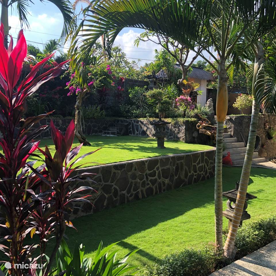  Villa Kayu Putih  in Lovina Bali huren Micazu