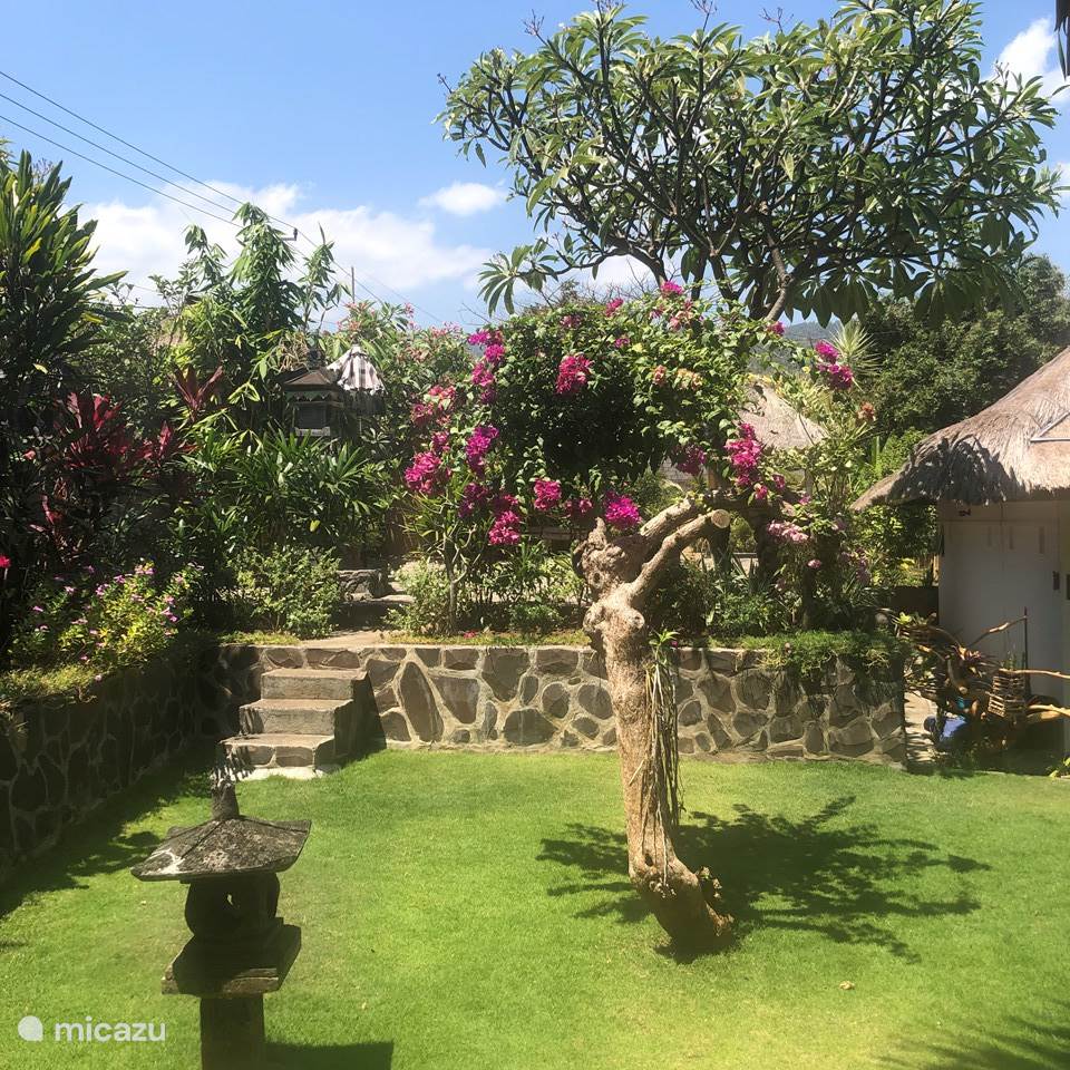  Villa  Kayu  Putih  in Lovina Bali  huren Micazu